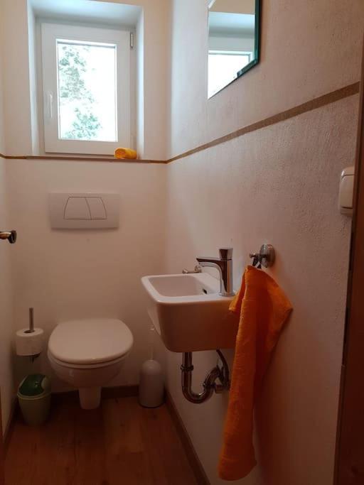 Niederndorferberg Gemuetliche Wohnung Mit Blick Auf Den Zahmen Kaiser מראה חיצוני תמונה